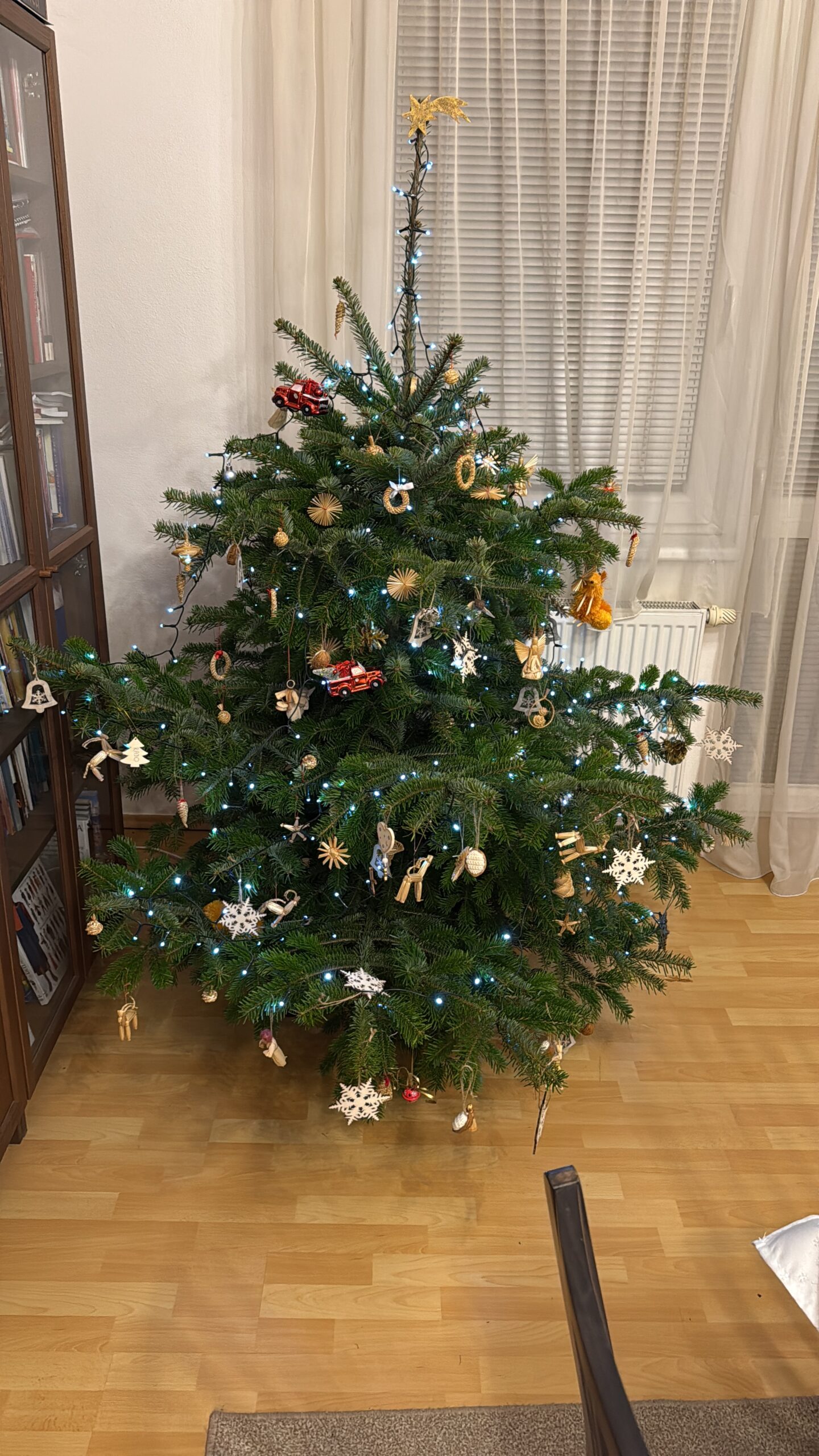 Vianočná príprava